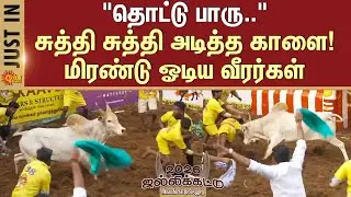 Alanganallur Jallikattu - 2026 | 