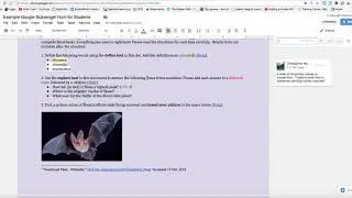 Doc Find Tool