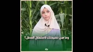 شاهد | لقاء خاص مع صاحبة المرتبة الاولى ولائيا  في شهادة التعليم المتوسط - بن حامد مروة