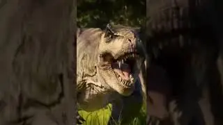 Biodiversity in the age of the dinosaurs #documentary #dinosaur #earthhistory