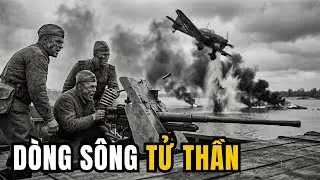 The 