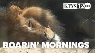Local zoo brings back 