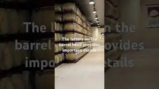 Barrel Room in RIOJA, SPAIN