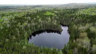 Spring Awakening with Lovely Little Comeau Lake Hidden in the Beautiful Forest