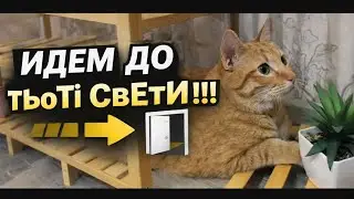 🐾24•01•2026 🐾ЙдЕм дО тЬоТі СвЕтИ !!!