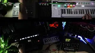 Donner L1 / Toraiz AS-1 / Beetlecrab Tempera / Digitone / Keystep Pro / Cinematic Cyberscapes