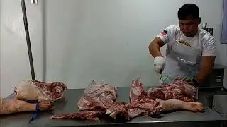 Primal and Deboning half pork carcass