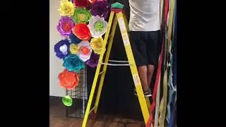 Easy To Create Paper Flowers And Streamers Backdrop