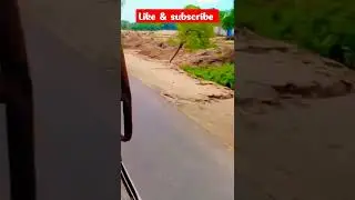 indian 90`s old song#luxury bus indian#indian milf short#faisla movers #shortsfeed