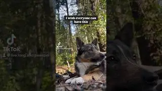 Have the day you deserve ✌🏾💛#swedishvallhund #selfcare #adhd #mentalhealth