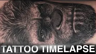TATTOO TIMELAPSE | CAESAR PLANET OF THE APES PORTRAIT | CHRISSY LEE