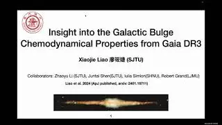 Chemodynamics of the Milky Way bulge