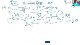 Занятие 114. Реакции альдегидов и кетонов с оксимами, аминами, иминами, гидразонами, семикарбазонами