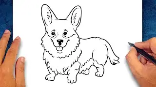 How to draw Corgi Dog