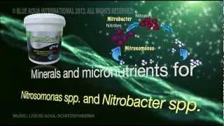 NitroGro by Blue Aqua