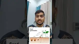 Germination of Seed | Reproduction | Class 10 #class10biology #biology #cbseclass10