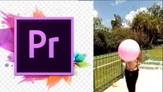 How to take a snapshot from a video in Premiere Pro | snapshot from video
