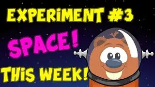 Box Critters - EXPERIMENT #3 THIS WEEK! We're Going to Space!