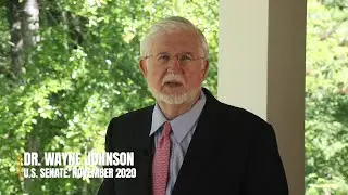 Dr. Wayne Johnson for U.S. Senate on the Democrat Heroes Act - Pelosi's Latest Stimulus Bill