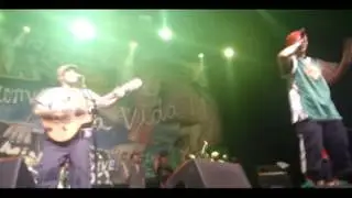 MANU CHAO Y PERRO VERDE - fuera monsanto (fan cam) Argentina 14/12/2013