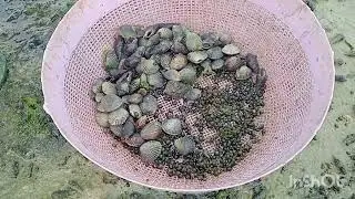 ANG MGA NANAY NAGHANP BOHAY Sa DAGAT/ ate raquel