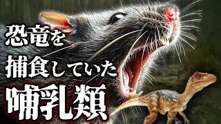 【ゆっくり解説】やられてばかりじゃなかった！恐竜をエサにしていた生物たち６選