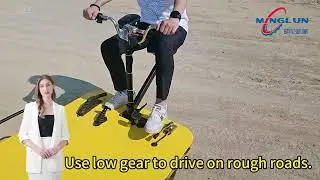 MINGLUN multi-purpose electric flat transport vehicle trolleys details display.