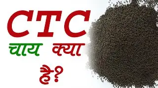 ctc tea | ctc tea kya hai | सी टी सी चाय किसे कहते हैं |