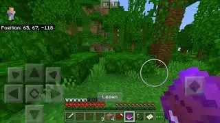 Minecraft Komisch 001