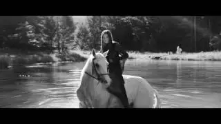 Zara Woman Campaign | Autumn Winter 2016 #discoforest