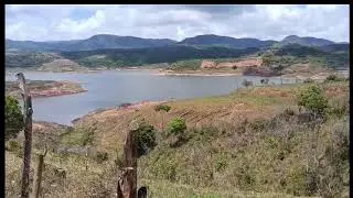 LIVE 🌿 Sons da Natureza ao Vivo | P&aacute;ssaros Cantando + Paisagem Relaxante | JC