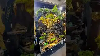 Ultra Luxury Water Founatin | Water Fountains & Garden Decor India
