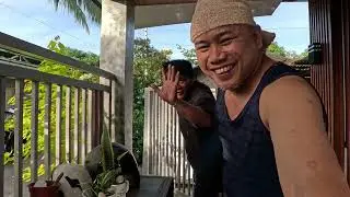 NAG LUTO AKO NG ULAM KO NA MUNGGO