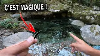 Ce LEURRE de 2 CENTIMÈTRES est incroyable dans les TROUS D’EAU !