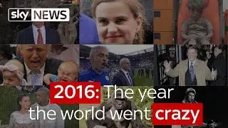 2016: The year the world went crazy