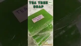 TEA TREE SOAP 🌿 DR. MONALI EKKA #ayurveda #teatree #hydrating #naturalhealing #skincare