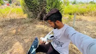 Raja & rani chi jodi lagnar ka guys 🕊️|| ha Pakshi konata aahe ? 🤔 || jatin mhatre vlog