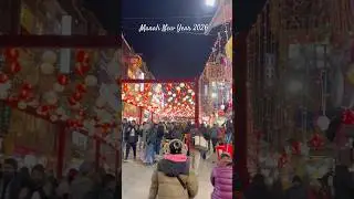 Manali New Year 2026 Celebrations