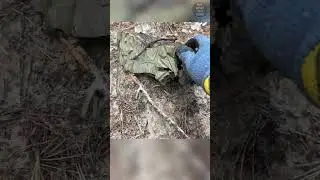 Germany's Deadly Anti-Personnel Mine