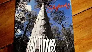Skyhooks - Final Vinyl - Tall Timber - Last Vinyl 45 Single 1990