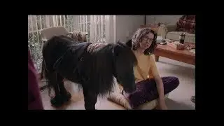 Funny Commercial - Geico - Renter's Insurance - Antonio The 'Dog'