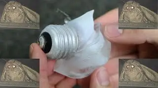 LIGHTBULB MOTH ICE CUBES! (MOTH LAMP)