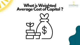 What is the weighted average cost of capital?