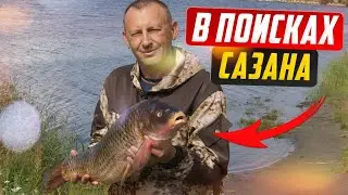 В поисках САЗАНА. Рыбалка на реке Обь.