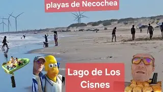 Playas fabulosas de Necochea,  Lago de los Cisnes.  Juegos, comida, aves, animales, catamaranes,.. 