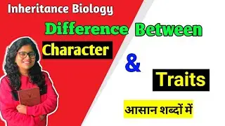 Difference between Character & Traits