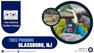 Tree Pruning in Glassboro, NJ | One Solutions Outdoor Designs