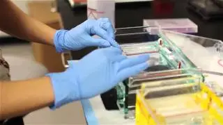 Northern Arizona Bioscience Roadmap Update