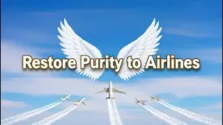 Can We Restore Purity to Airlines?