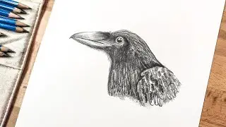 How to draw a RAVEN HEAD | step by step | easy